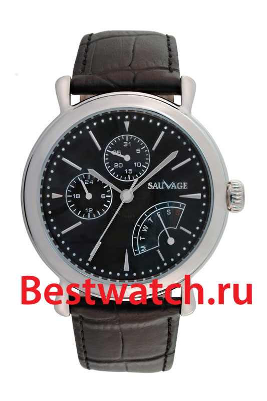 Часы Sauvage Energy SV10702S