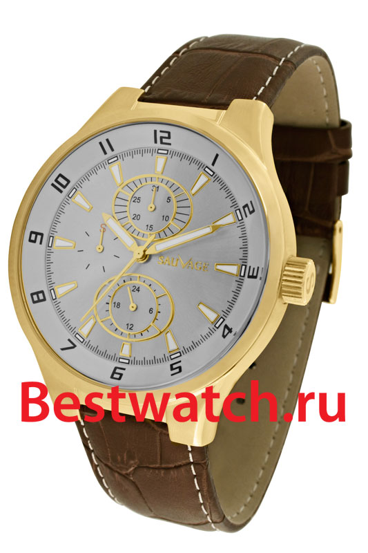 Часы Sauvage Energy SV10854G
