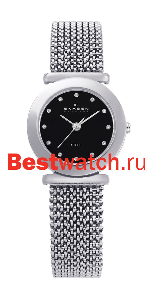 Часы Skagen Mesh Classic 107SSSB1