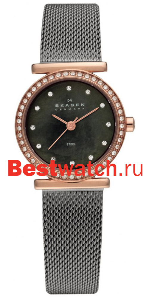 Часы Skagen Mesh 108SRM