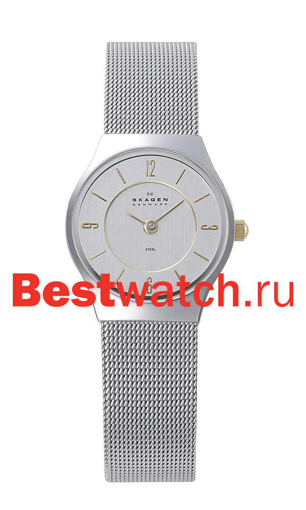 Часы Skagen Mesh 233XSGSC