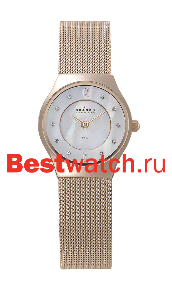 Часы Skagen Mesh 233XSRR