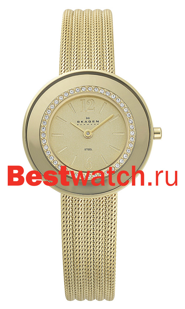 Часы Skagen Mesh Classic 363SGG