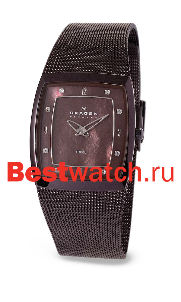 Часы Skagen Mesh 380SMM