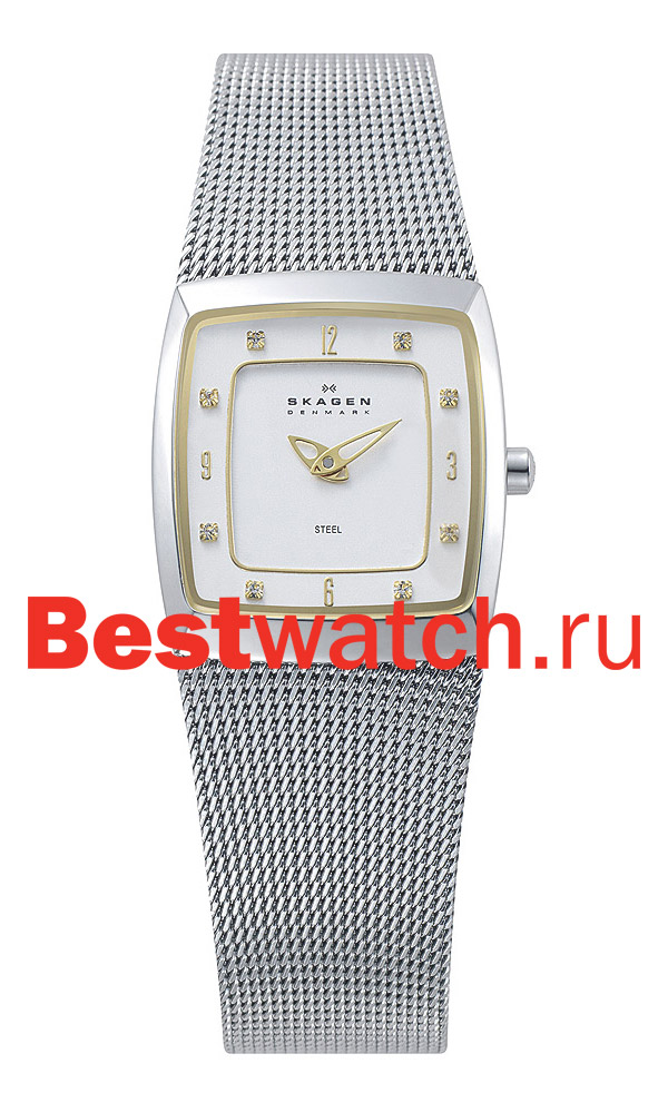 Часы Skagen Mesh 380XSGS1