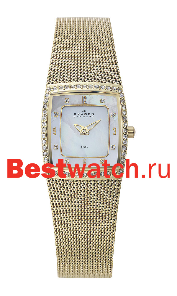 Часы Skagen Mesh Rectangular 384XSGG1