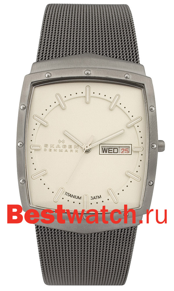 Часы Skagen Mesh Titanium 396LTTW