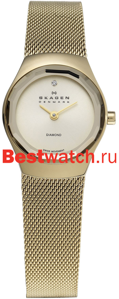 Часы Skagen Mesh 432SGSG