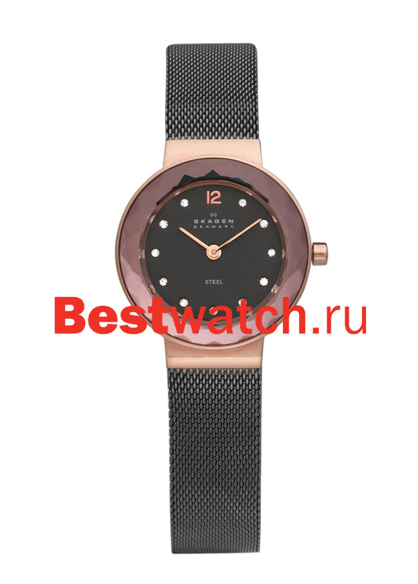 Часы Skagen Mesh 456SRM