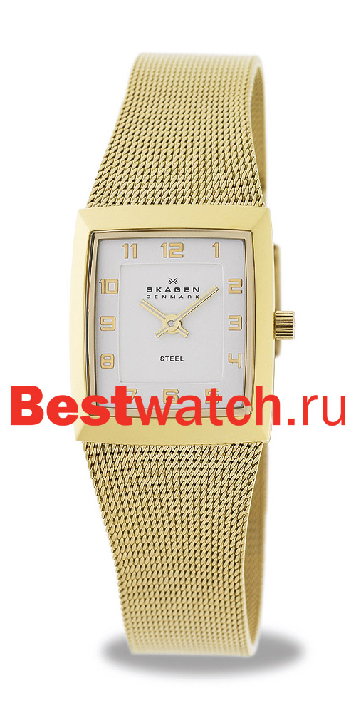 Часы Skagen Mesh 523XSGG