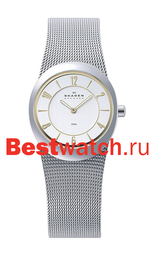 Часы Skagen Mesh 564XSGSC