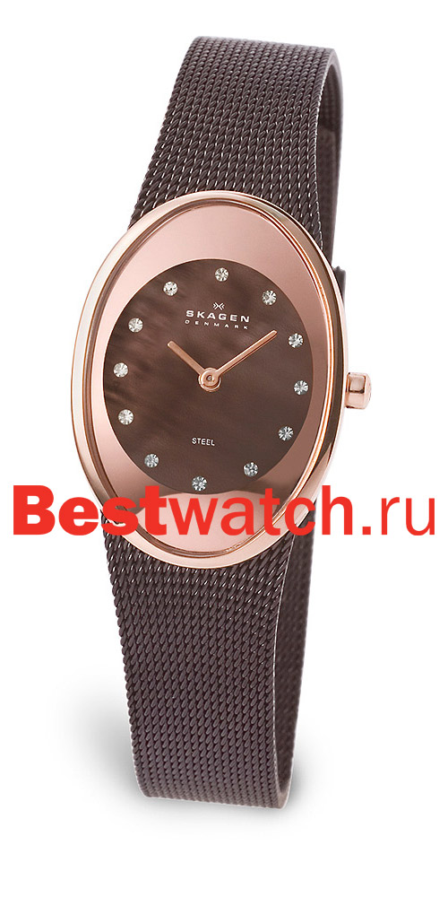 Часы Skagen Mesh Rectangular 648XSRD