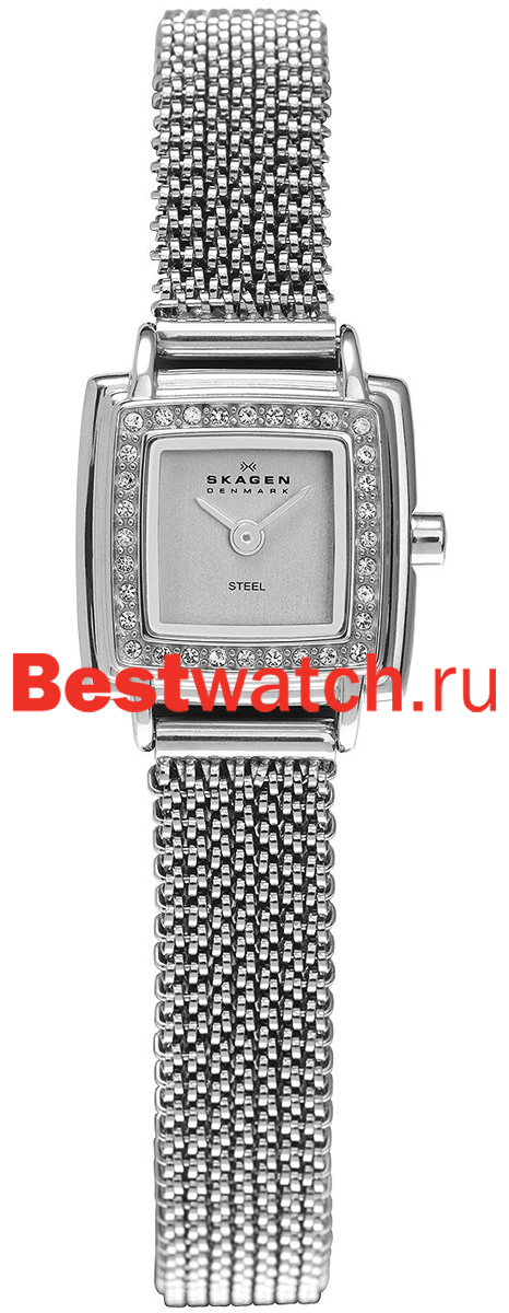 Часы Skagen Mesh Rectangular 821XSSS1