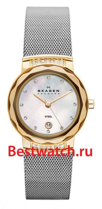 Часы Skagen Mesh SKW2038