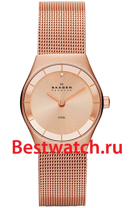Часы Skagen Mesh SKW2046