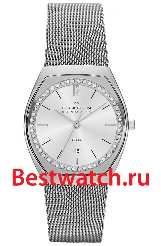 Часы Skagen Mesh SKW2049