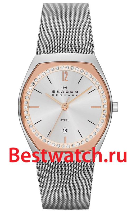 Часы Skagen Mesh SKW2051