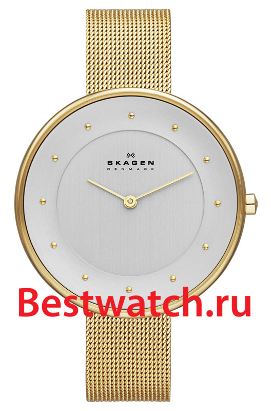 Часы Skagen Mesh SKW2141