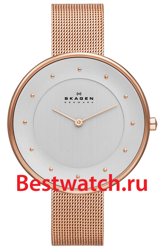 Часы Skagen Mesh SKW2142