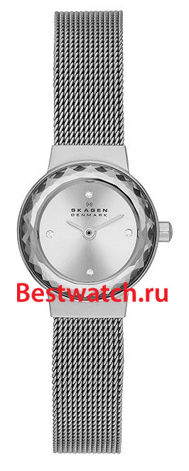 Часы Skagen Mesh SKW2184