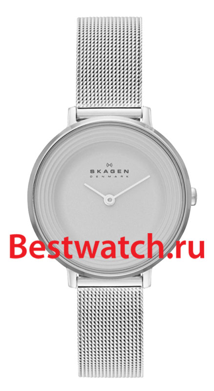 Часы Skagen Mesh SKW2211