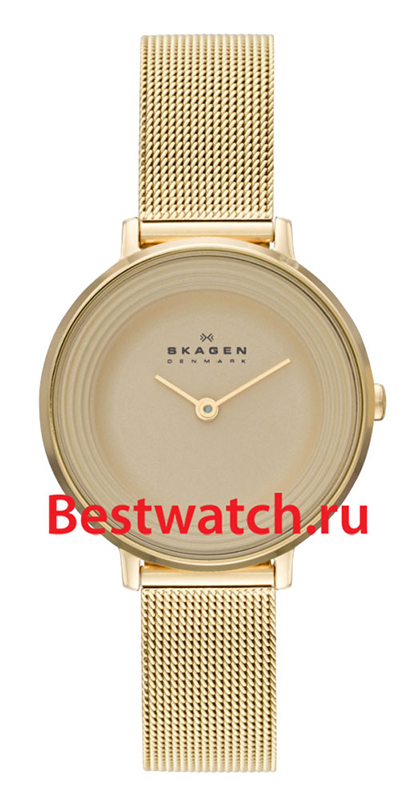 Часы Skagen Mesh SKW2212