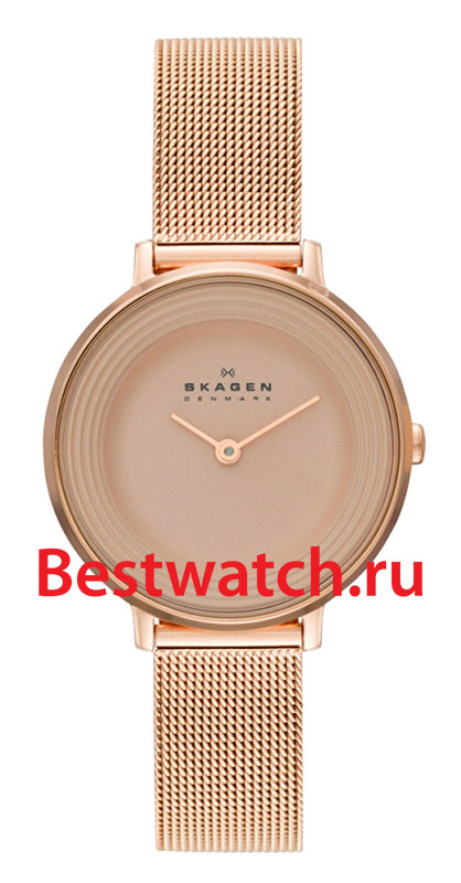 Часы Skagen Mesh SKW2213