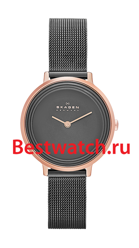 Часы Skagen Mesh SKW2277