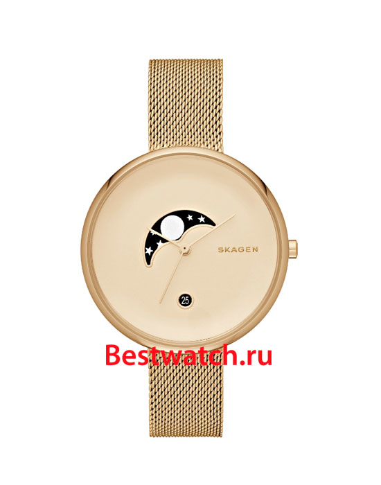 Часы Skagen Mesh SKW2373