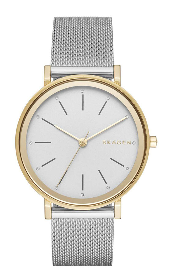 Часы Skagen Mesh SKW2508