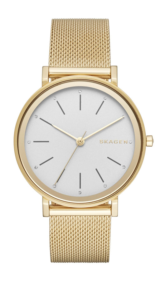Часы Skagen Mesh SKW2509