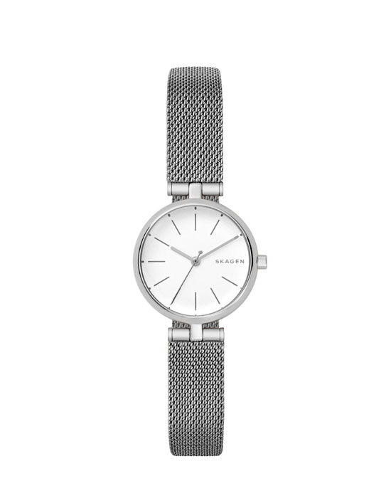 Часы Skagen Mesh SKW2642