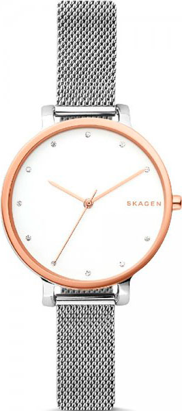 Часы Skagen Mesh SKW2662