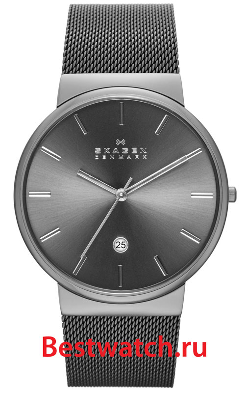 Часы Skagen Mesh SKW6108