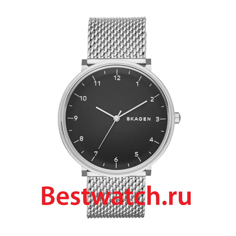Часы Skagen Mesh SKW6175