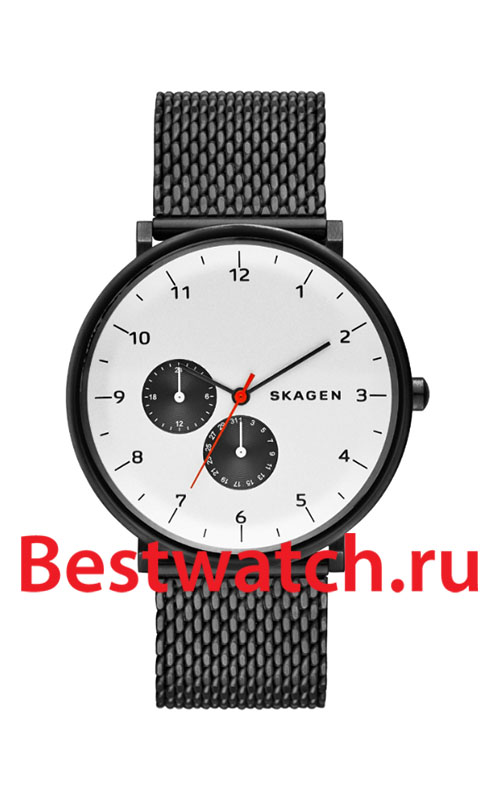 Часы Skagen Mesh SKW6188