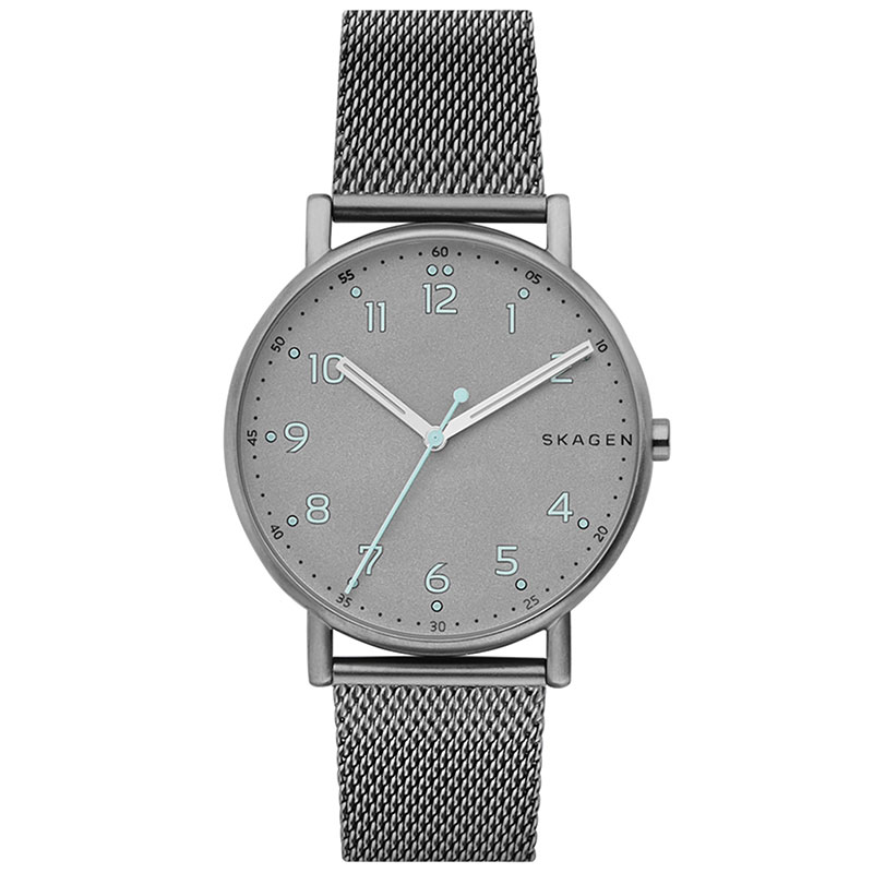 Часы Skagen Mesh SKW6354