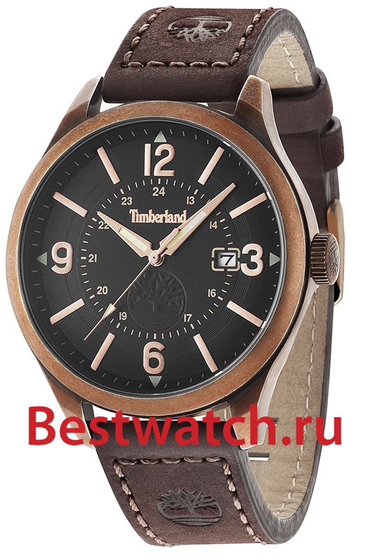 Часы Timberland Blake TBL.14645JSQR_02