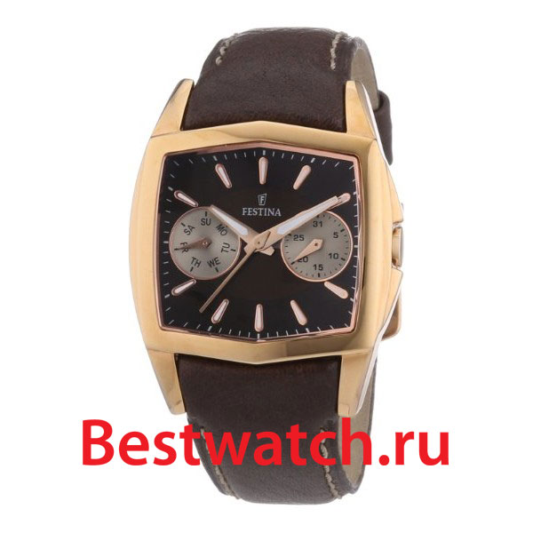 Часы Festina Multifunction 16264.H