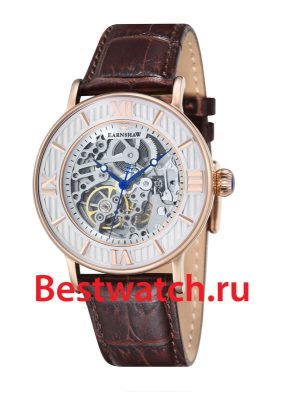 Вся коллекция Darwin