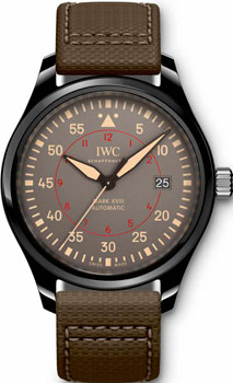 Вся коллекция Pilots Watch