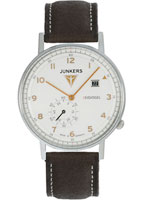 Junkers Eisvogel F13 67304