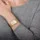 Obaku V172LEGGMG