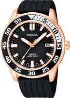 Pulsar On The Go PS9114X1