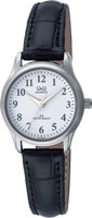 Q&Q IP Series C169J304