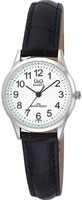 Q&Q IP Series C179J304
