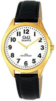 Q&Q IP Series C192J104