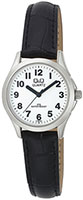 Q&Q IP Series C193J304