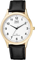 Q&Q IP Series C212J104