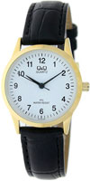 Q&Q IP Series C213J104